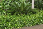 Poowong Eastplanting-garden-and-landscape-design-45.jpg; ?>